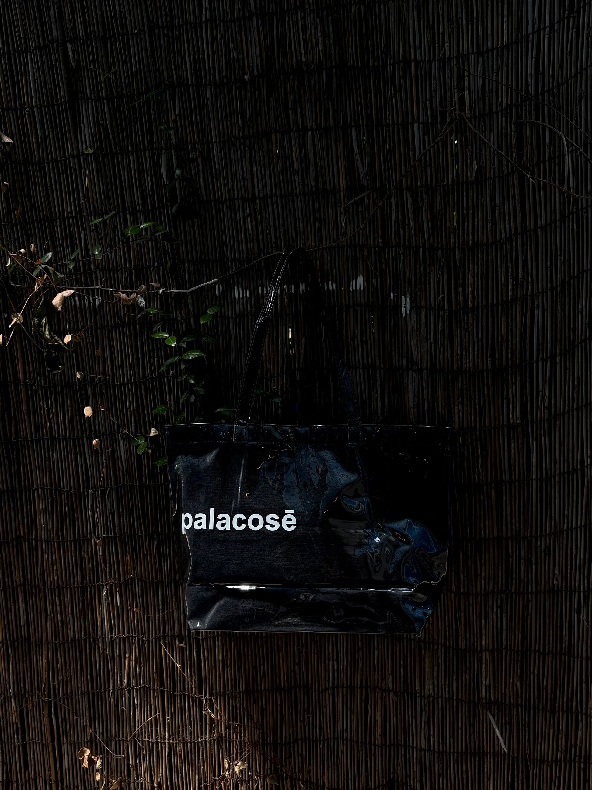 Palacose Tedlar Bag